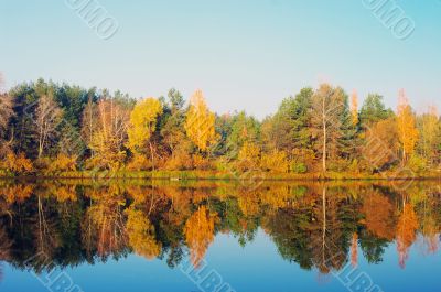 Picturesque autumn landscape on the river 