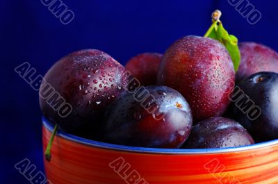 Plums. Fresh ripe washed plums in a ceramic bowl close-up on a b