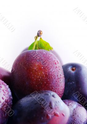 Plums. Fresh ripe washed plums over white background