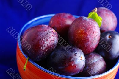 Plums. 