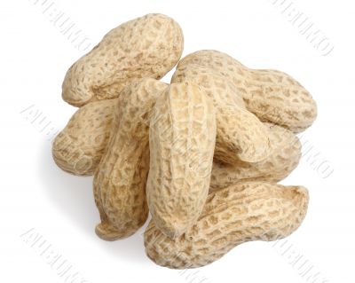 Peanuts 