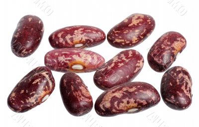 Spotted beans, isolated