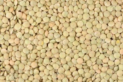 Lentils