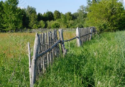 Rural landscape