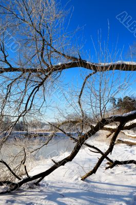 Frosty winter morning