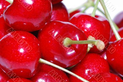 cherries great view