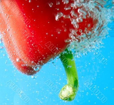 red pepper between bubbles 