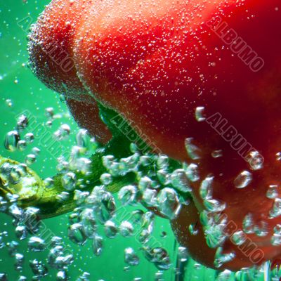 red pepper between bubbles 