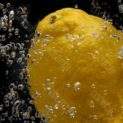 lemon between bubbles 