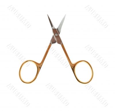 Manicure Scissors On White