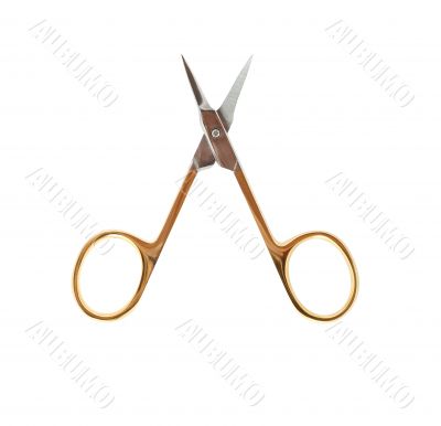 Manicure Scissors On White