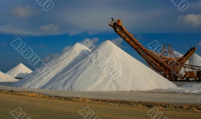 salt 