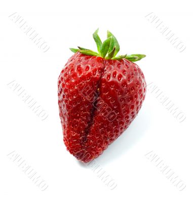 ripe strawberry