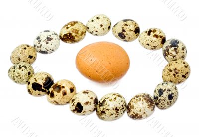 egg in eggs