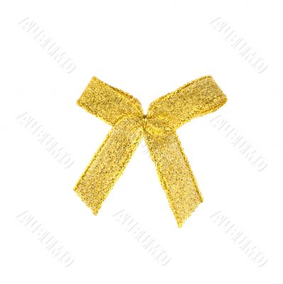 Golden bow isolated