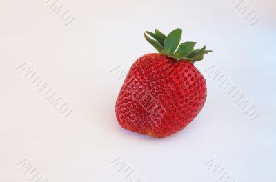 Strawberry on white