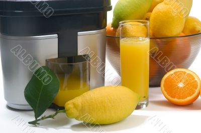 machine for pressing citrus