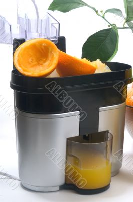 machine for pressing citrus