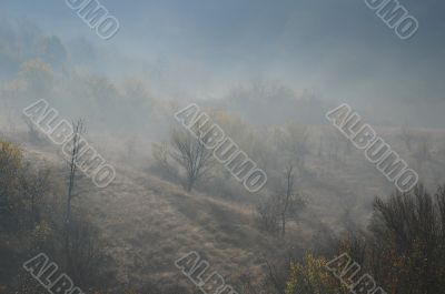 Foggy Hill Slope in the Fall