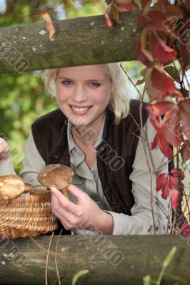 mushroom picking