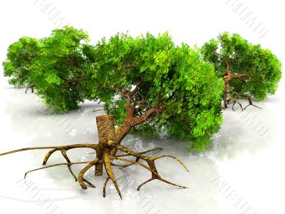 cut the tree