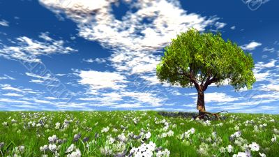 green tree and meadow