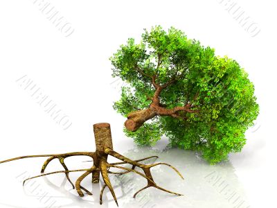 cut the tree