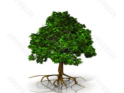 the green tree