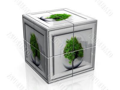 the tree cube