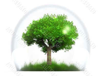 tree in a bubble
