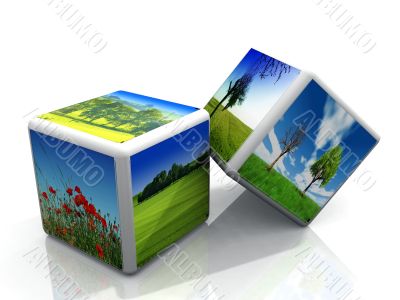 grass and tree box