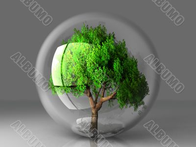 tree in a bubble