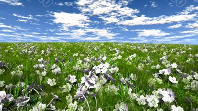grass and flower