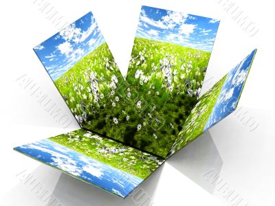 grass and flower box