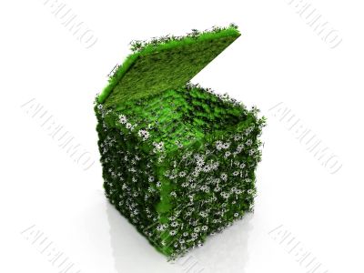 grass and tree box