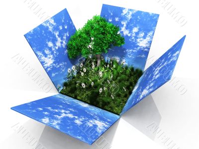 grass and tree box
