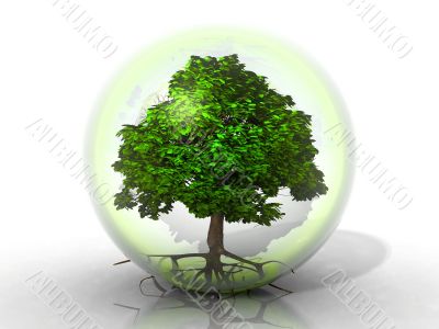 tree in a bubble
