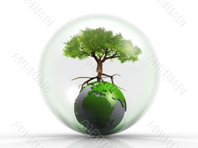 Earth and tree