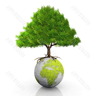 Earth and tree