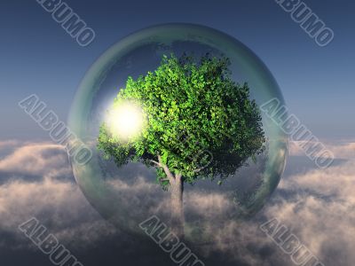 tree in a bubble