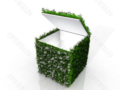 grass and flower box