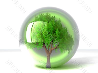 tree in a bubble