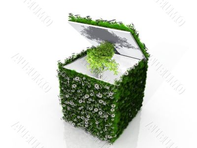 grass and tree box