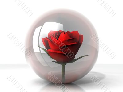 rose in a glass ball