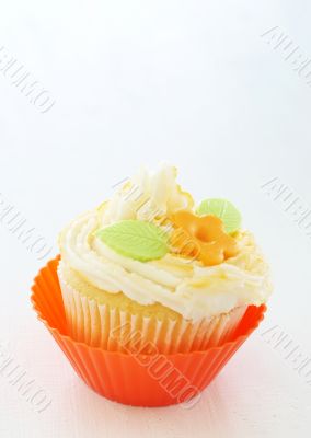 Vanilla cupcake with buttercream icing