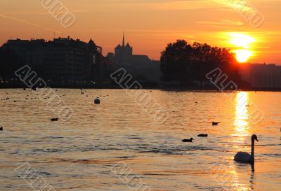 Evening Geneva