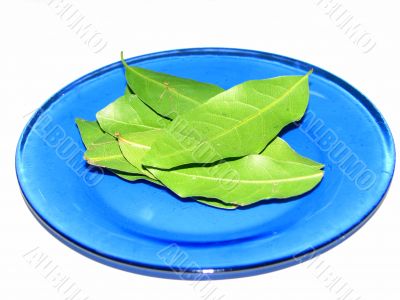 bay leaves