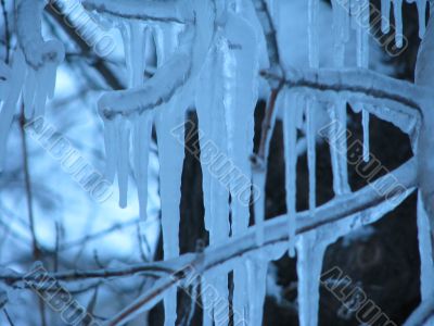 icicle