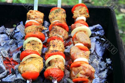 Image with fried meat, tomato and onion