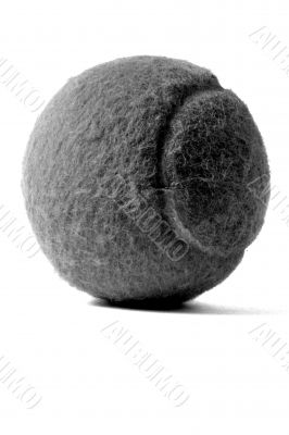 The tennis ball